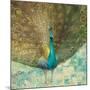 Teal Peacock on Gold-Danhui Nai-Mounted Art Print