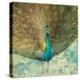 Teal Peacock on Gold-Danhui Nai-Stretched Canvas