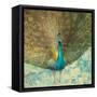 Teal Peacock on Gold-Danhui Nai-Framed Stretched Canvas