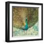 Teal Peacock on Gold-Danhui Nai-Framed Art Print