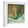 Teal Peacock on Gold-Danhui Nai-Framed Art Print