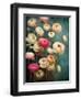 Teal Ranunculus 2-null-Framed Art Print