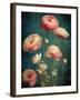 Teal Ranunculus 5-null-Framed Art Print