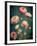 Teal Ranunculus 5-null-Framed Art Print