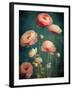 Teal Ranunculus 5-null-Framed Art Print