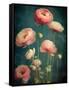 Teal Ranunculus 5-null-Framed Stretched Canvas