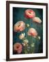 Teal Ranunculus 5-null-Framed Art Print