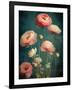 Teal Ranunculus 5-null-Framed Art Print