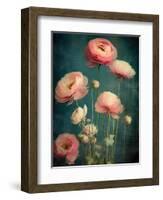 Teal Ranunculus 5-null-Framed Art Print