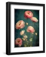 Teal Ranunculus 5-null-Framed Art Print