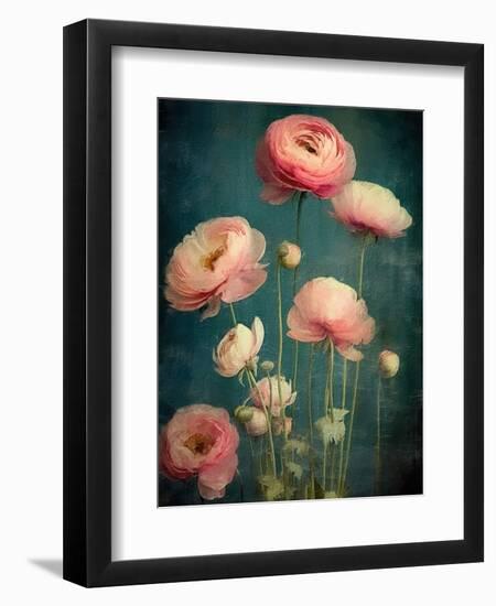 Teal Ranunculus 5-null-Framed Art Print