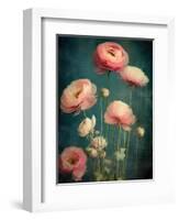 Teal Ranunculus 5-null-Framed Art Print