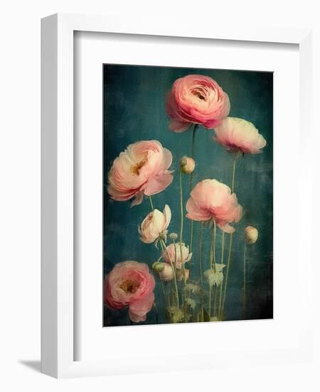 Teal Ranunculus 5-null-Framed Art Print