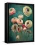 Teal Ranunculus 9-null-Framed Stretched Canvas