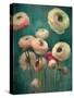 Teal Ranunculus 9-null-Stretched Canvas