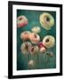 Teal Ranunculus 9-null-Framed Art Print