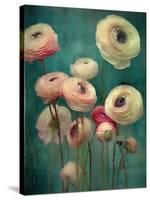 Teal Ranunculus 9-null-Stretched Canvas