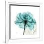 Teal Rose-Albert Koetsier-Framed Premium Giclee Print