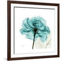 Teal Rose-Albert Koetsier-Framed Premium Giclee Print