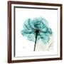 Teal Rose-Albert Koetsier-Framed Premium Giclee Print