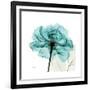 Teal Rose-Albert Koetsier-Framed Premium Giclee Print