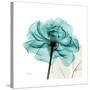 Teal Rose-Albert Koetsier-Stretched Canvas