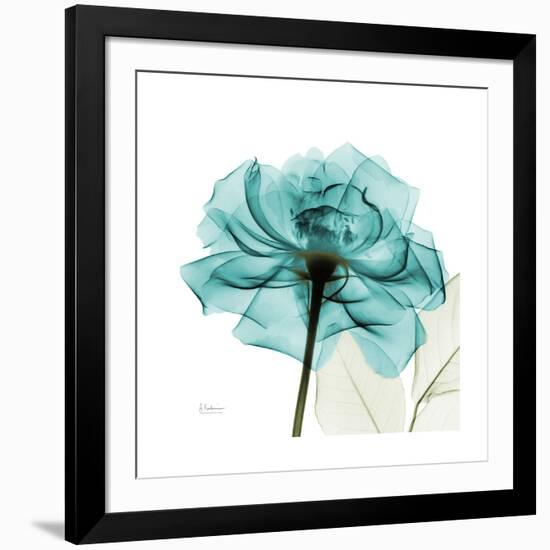 Teal Rose-Albert Koetsier-Framed Premium Giclee Print