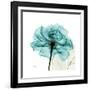 Teal Rose-Albert Koetsier-Framed Premium Giclee Print