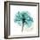 Teal Rose-Albert Koetsier-Framed Premium Giclee Print