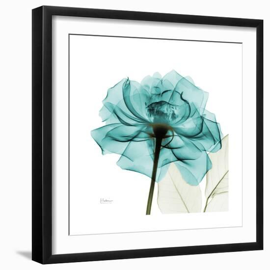 Teal Rose-Albert Koetsier-Framed Premium Giclee Print