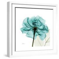 Teal Rose-Albert Koetsier-Framed Premium Giclee Print