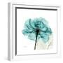 Teal Rose-Albert Koetsier-Framed Premium Giclee Print