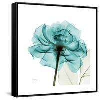 Teal Rose-Albert Koetsier-Framed Stretched Canvas