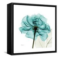 Teal Rose-Albert Koetsier-Framed Stretched Canvas