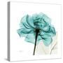 Teal Rose-Albert Koetsier-Stretched Canvas