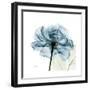 Teal Rose-Albert Koetsier-Framed Photographic Print