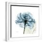 Teal Rose-Albert Koetsier-Framed Photographic Print