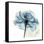 Teal Rose-Albert Koetsier-Framed Stretched Canvas