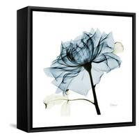 Teal Rose-Albert Koetsier-Framed Stretched Canvas