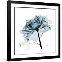 Teal Rose-Albert Koetsier-Framed Photographic Print