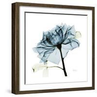 Teal Rose-Albert Koetsier-Framed Premium Photographic Print