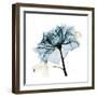 Teal Rose-Albert Koetsier-Framed Photographic Print