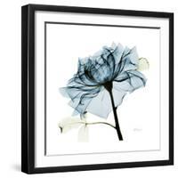 Teal Rose-Albert Koetsier-Framed Photographic Print