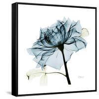 Teal Rose-Albert Koetsier-Framed Stretched Canvas