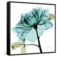 Teal Rose-Albert Koetsier-Framed Stretched Canvas