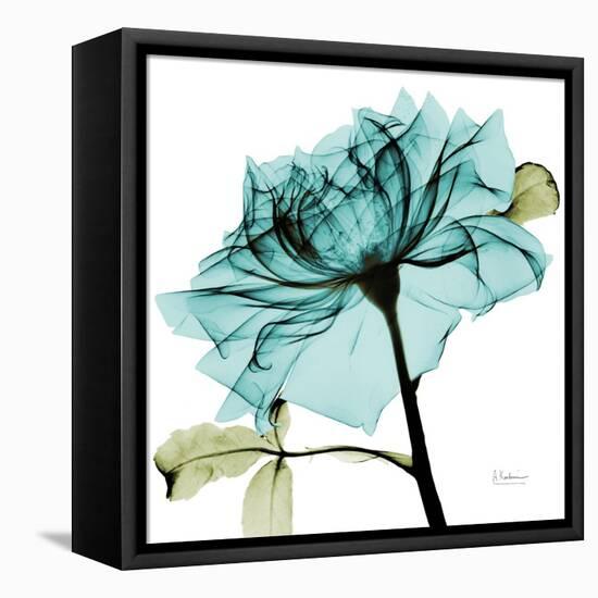 Teal Rose-Albert Koetsier-Framed Stretched Canvas