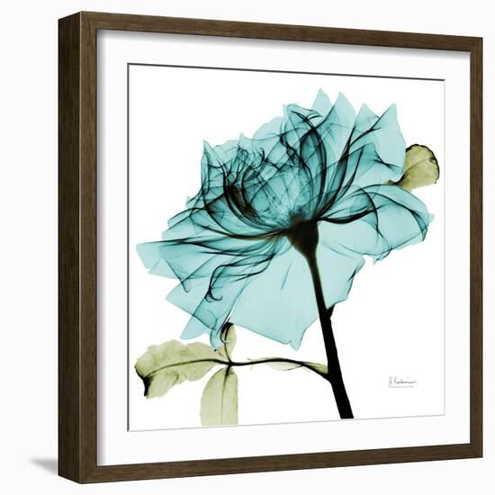 Teal Rose-Albert Koetsier-Framed Art Print