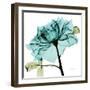 Teal Rose-Albert Koetsier-Framed Art Print