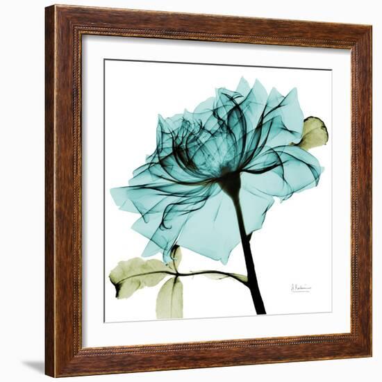 Teal Rose-Albert Koetsier-Framed Art Print