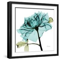 Teal Rose-Albert Koetsier-Framed Art Print